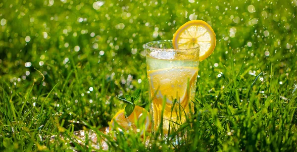 Lemonad i ett glas på grönt gräs — Stockfoto