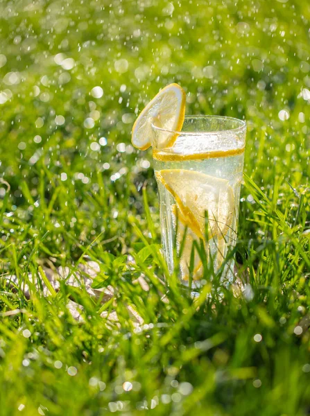 Lemonade in a glass on green grass Royalty Free Stock Photos