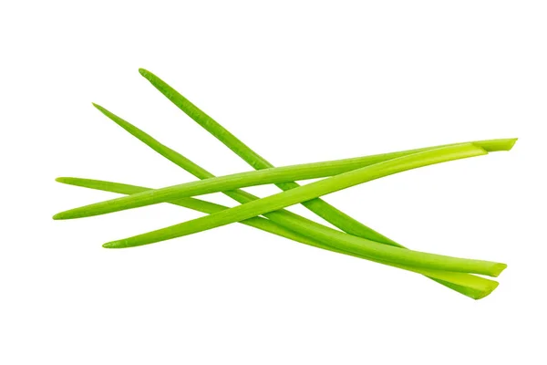 Green Onion Clipping Path White Isolated Background — Stock Photo, Image