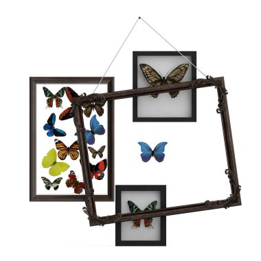 İzometrik 3d render. Senin işin daha iyi sunum için modern ve profesyonel vitrin!