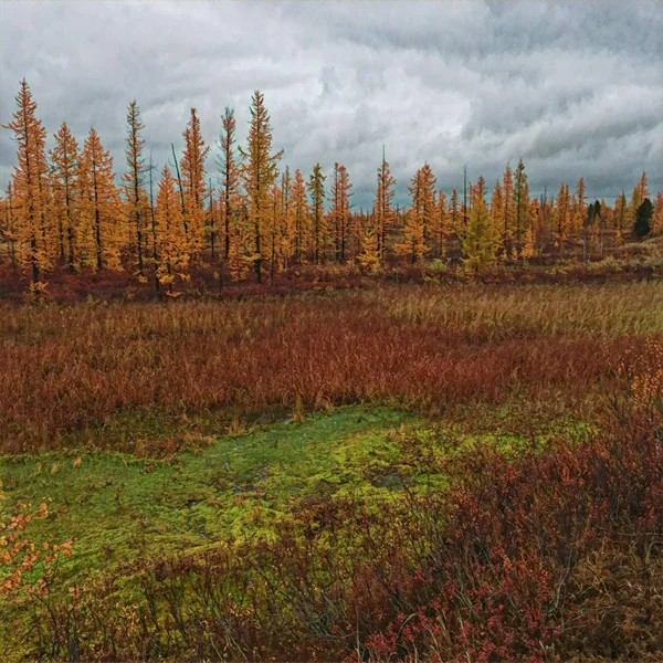 Gri bulutlar sonbaharda