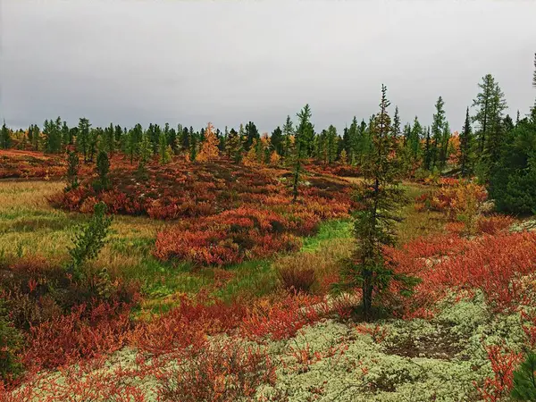 Sonbahar bir ziyaret