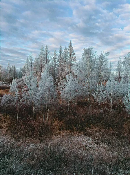Buz ve güneş, harika bir gün..