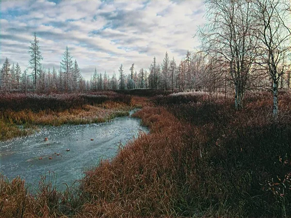 Göl bir kış ormanıyla çevrilidir.