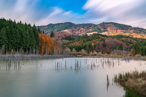 Otoño Lago Cuejdel Rumania — Foto de Stock