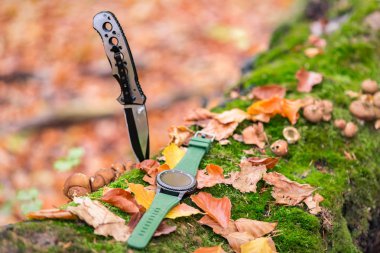 Folding knife and watch in the autumn forest clipart