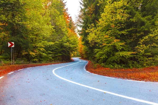 Дорога через лес в осенний сезон — стоковое фото