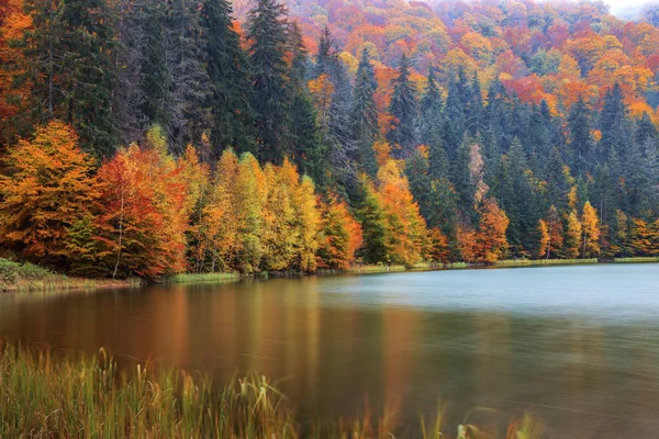 Herbstlandschaft am Rande des Heiligen Anasees — Stockfoto