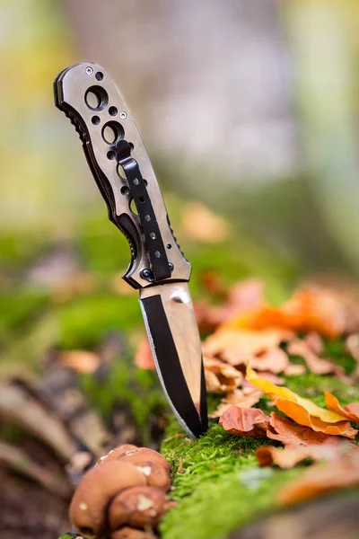 Cuchillo metálico para cazar atascado en el bosque — Foto de Stock