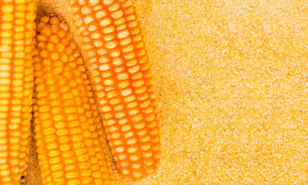 Textury semena kukuřice a kukuřičné mouky. Jako pozadí — Stock fotografie