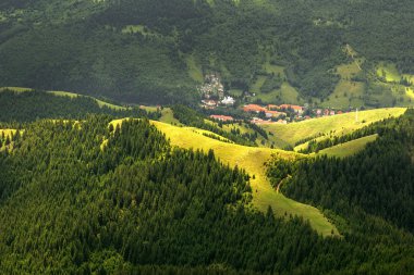 Ormanlık tepeler arasında evler