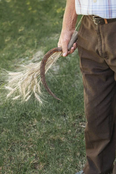 Eski bir demet buğday ile adam ve elinde Orak — Stok fotoğraf