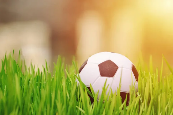 Маленький футбольный мяч в траве — стоковое фото