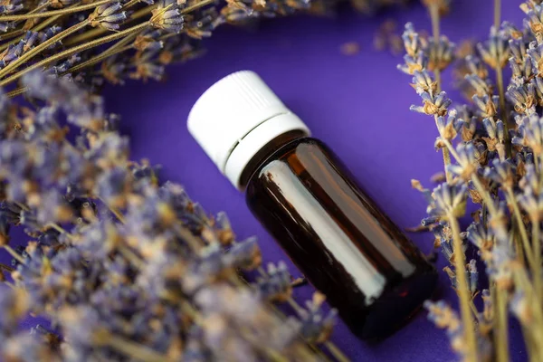 Essential oil and lavender flowers — Stock Photo, Image