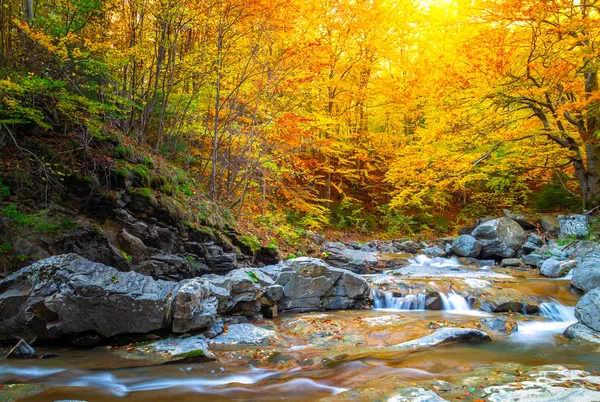 Fiume sulla foresta autunnale. Bellissimo fogliame autunnale, cascate — Foto Stock