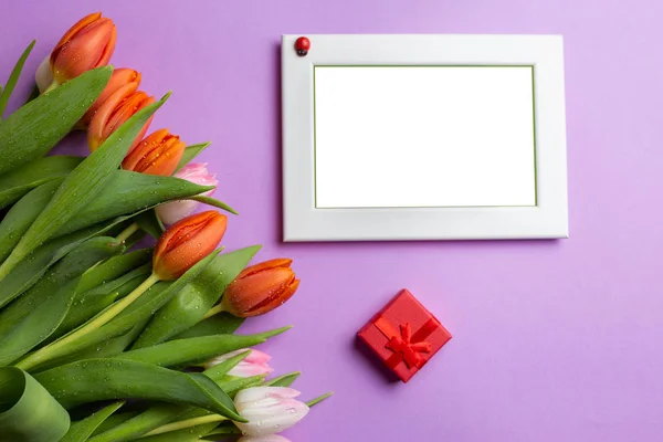 Lege fotolijst naast een boeket tulpen en een rood cadeau b — Stockfoto