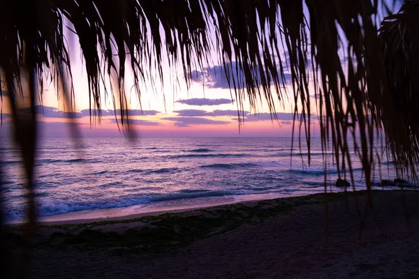 Sonnenaufgang über dem Meer vom Strand aus mit Bambusblättern — Stockfoto