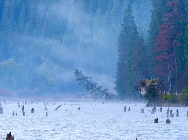 Día nublado de otoño en Lacul Rosu o Lago Rojo ubicado en Harghita , — Foto de Stock