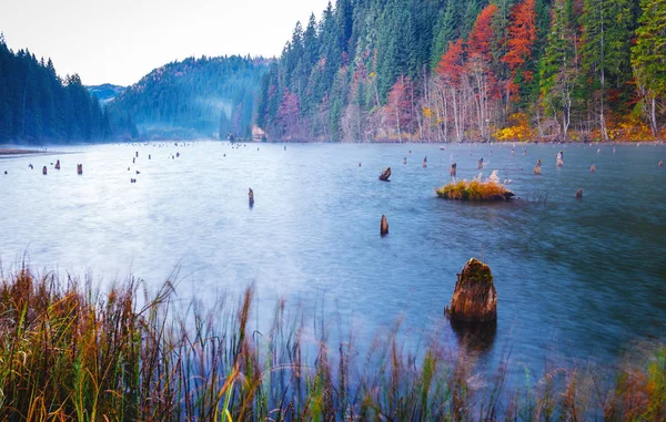 Mañana de otoño en Lacul Rosu o Lago Rojo ubicado en Harghita, Ro — Foto de Stock