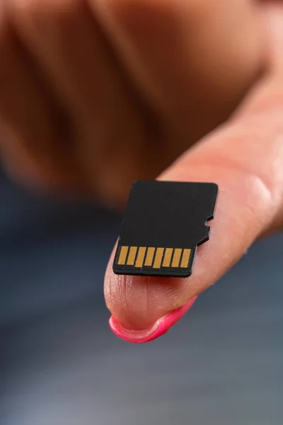 Micro Secure Digital Card is the equipment that use for store data, Micro SD memory card use to storage information. The devices for transfer and backup data. Close up.