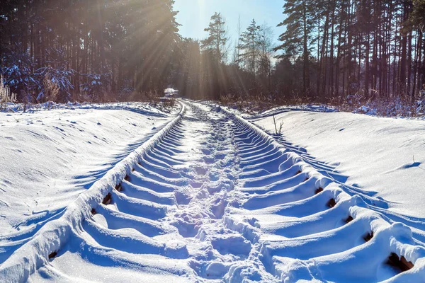 close-up shot of snow covered railway in forest