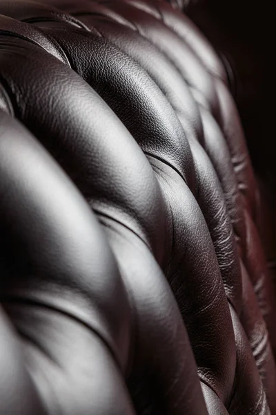 texture of the dark leather couch stitched buttons