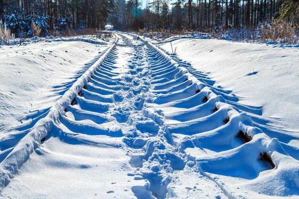 close-up shot of snow covered railway in forest