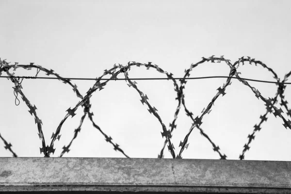 black and white shot of barbed wire on fence in front of clear sky