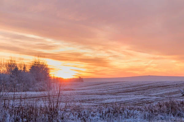 Beautiful winter sunset. The first snow in the fields at sunset. Soft focus.