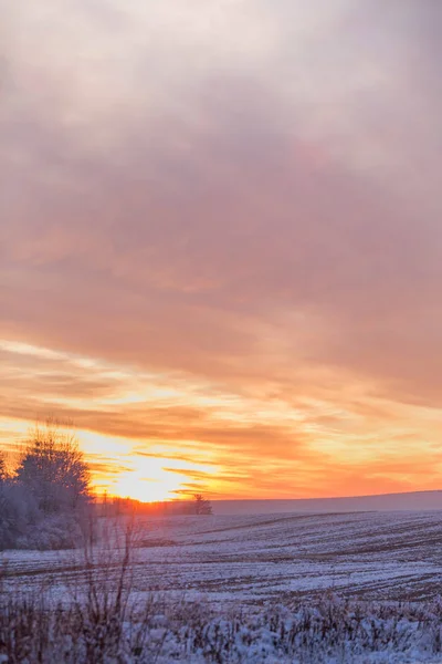 Beautiful winter sunset. The first snow in the fields at sunset. Soft focus.