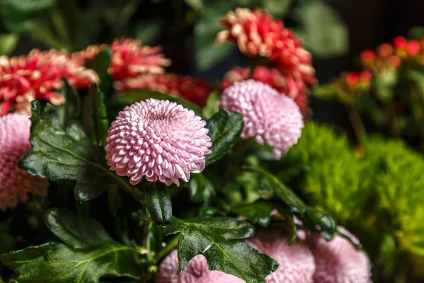 close-up shot of beautiful assorted flowers bouquet