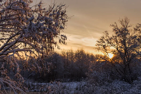 Beautiful winter sunset. The first snow in the fields at sunset. Soft focus.