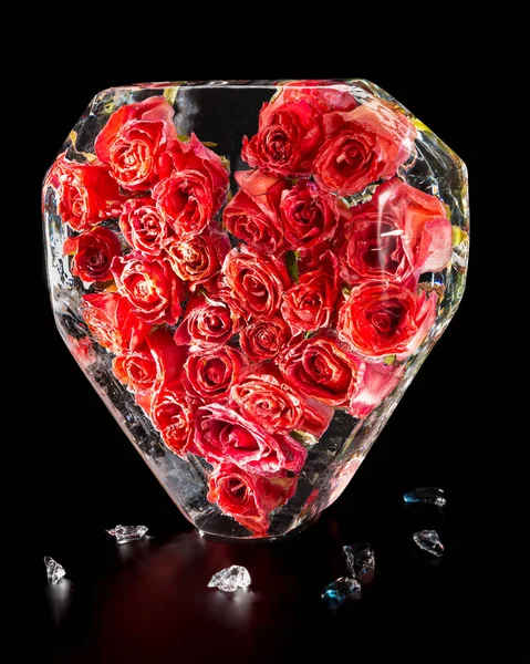 Lovely buds of scarlet roses frozen in a heart-shaped block of ice isolated on a black background. Decoration and decoration of holidays and ceremonies.