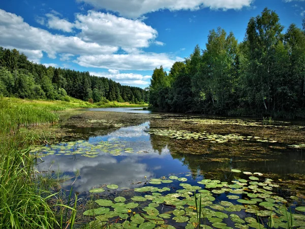 Warmer Sonniger Julitag Poksha Fluss Der Nähe Von Kostroma Schnappschuss — Stockfoto