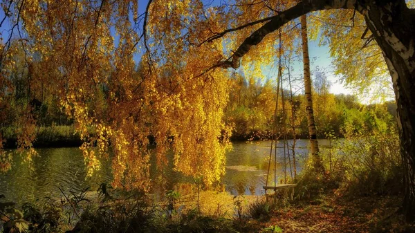 Helle Landschaft Des Goldenen Herbstes Ufer Des Flusses Igumenka Der — Stockfoto