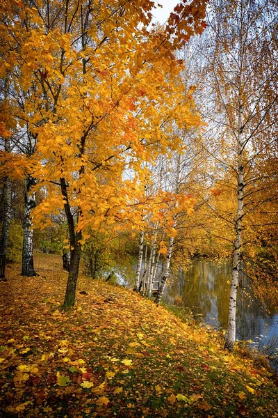 Krajobraz Złotej Jesieni Pobliżu Kostroma Zdjęcie 2017 — Zdjęcie stockowe