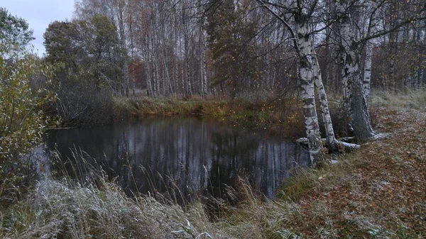 Landskap Utgående Hösten Med Den Första Snön — Stockfoto
