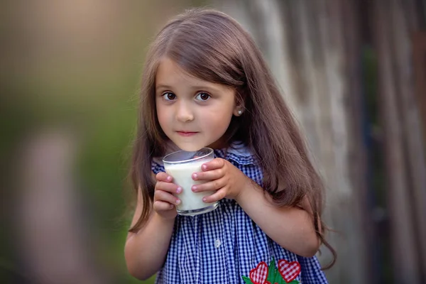 Мила Маленька Красива Дівчинка Молоком — стокове фото