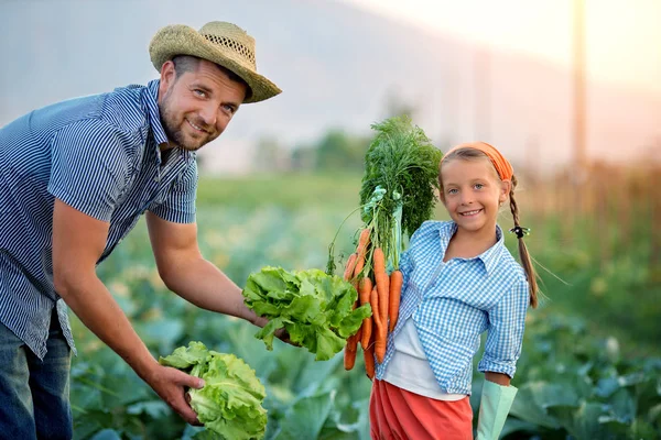 Farmers Father Daughter Harvest Cabbage Carrots Field — Stock Photo, Image