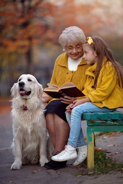 Büyükanne Torunu Sonbahar Parkta Onların Köpek Ile Kitap Okuma Ile — Stok fotoğraf