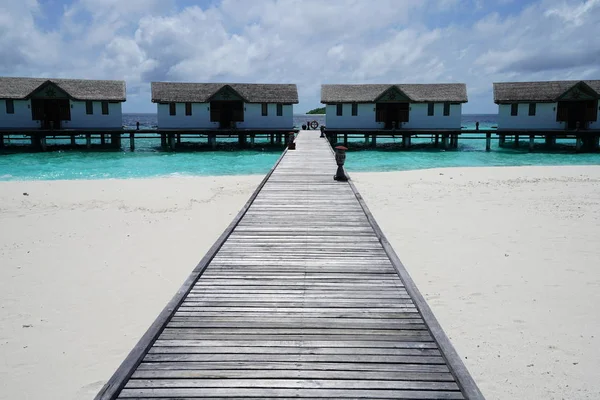 Tropik Tatil Köyü Baa Atoll Maldivler Bungalovları Olan Güzel Sahil — Stok fotoğraf