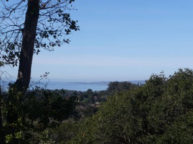 Orta Kaliforniya 'daki Pasifik Sahil Otobanı boyunca uzanan pürüzsüz gökyüzü arka planıyla inanılmaz okyanus.