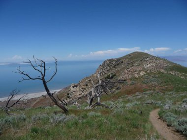 Utah 'taki Büyük Tuz Gölü boyunca muhteşem bir göl manzarası.