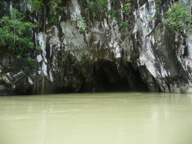 Filipinler, Palawan 'da kayalık ve yemyeşil nehir manzarası