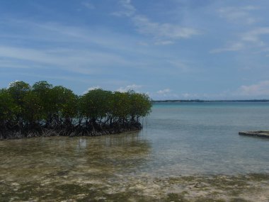 Filipinler 'in Visayas Bölgesi 2009' da inanılmaz bir gökyüzü ile muhteşem bir okyanus manzarası