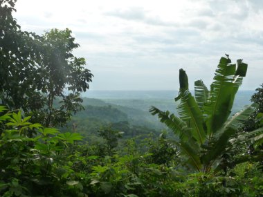 Negros Adası, Filipinler 2009 'un ortasında berrak gökyüzü ile muhteşem doğa manzarası