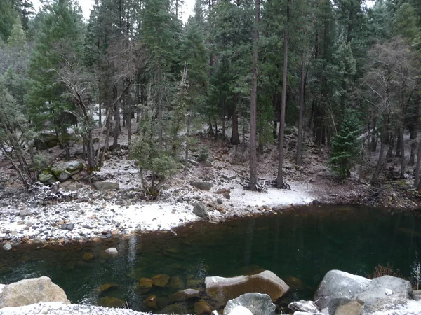 Fluss Fließt Winterlichen Wäldern Der Sierra Nevada Kalifornien — Stockfoto