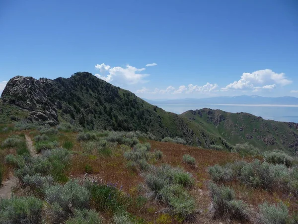 Csodálatos Természet Hegyi Kilátás Tiszta Mentén Nagy Sós Utah — Stock Fotó