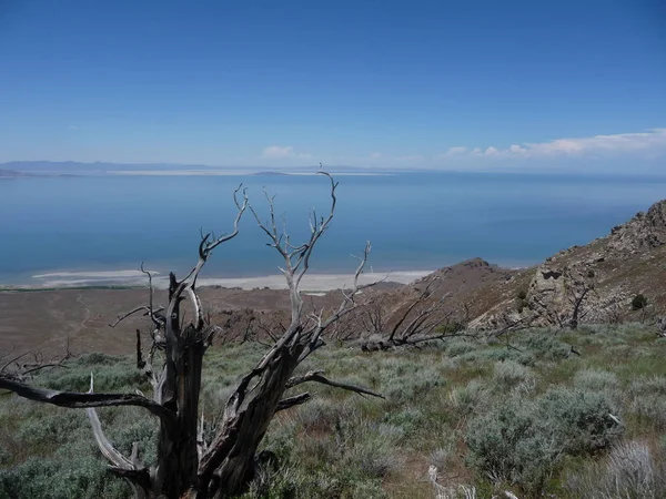 犹他州盐湖畔美丽的湖景 天空迷人极了 — 图库照片