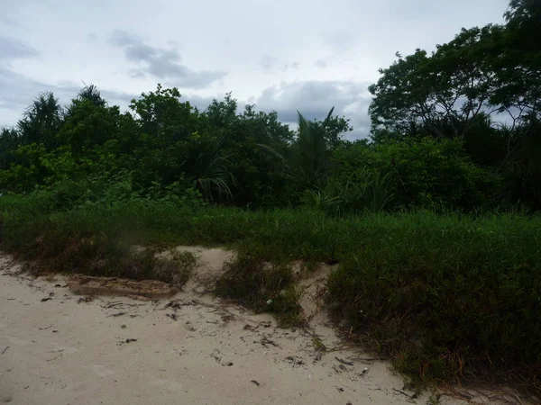 Utsikt Över Sandstrand Med Grönskande Grönska Palawan Filippinerna 2009 — Stockfoto